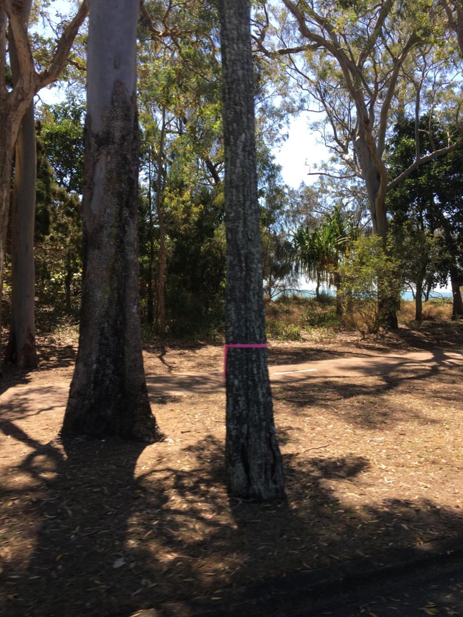 The Bay Beach Shack, Hervey Bay Ngoại thất bức ảnh